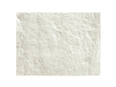 Cytoplast ™ RTM 2ks/bal. 30 mm x 40 mm kolagen membrána