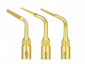 WOODPECKER Extrakce 3