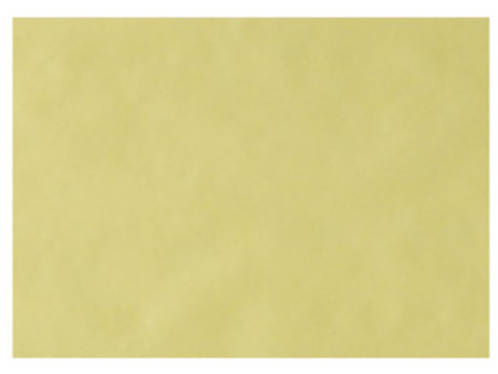 EURONDA Monoart Papírové podložky na tácy 250ks 280x180mm, pískové (205008)